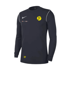 Nike Park 20 Sweatshirt Blau Weiss F451