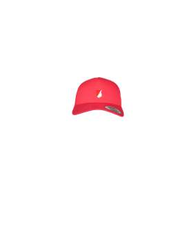 Merch 5 Panel Retro Trucker Cap Red | logo4c