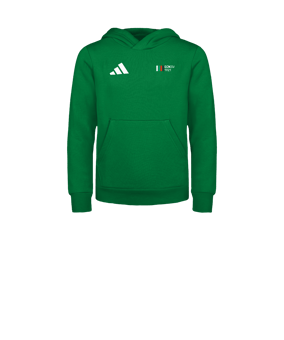 adidas Entrada 26 Hoody Kids Grün