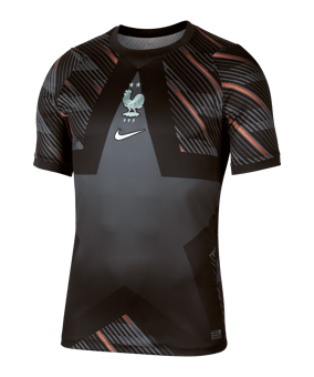 Nike FFF Frankreich Torwarttrikot WM 2026 Schwarz F010 - schwarz