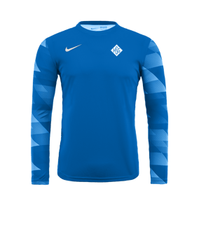 Nike Park IV TW-Trikot langarm Blau F463