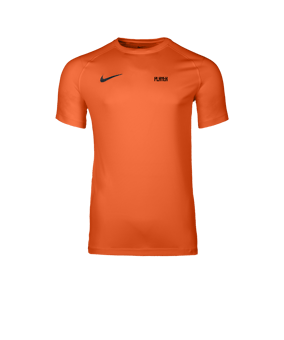 Nike Park VIII Trikot Orange F819