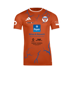 adidas Entrada 26 Trikot Orange