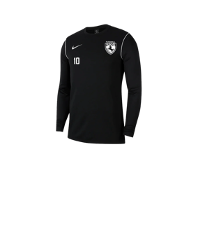 Nike Park 20 Sweatshirt Kids Schwarz Weiss F010