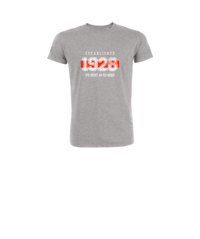 Merch Mini Creator 2.0 T-Shirt Kids Heather Grey | #established