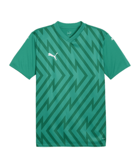 PUMA teamGLORY Trikot Grün Weiss Grün F05 - gruen