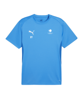 PUMA teamGOAL Trikot Blau F02