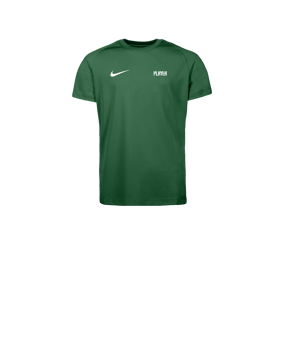 Nike Park VIII Trikot Kids Grün F302