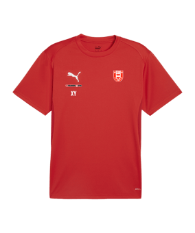 PUMA teamGOAL Trikot Rot F01