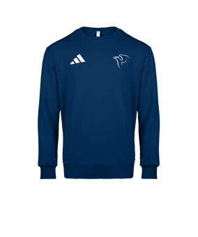 adidas Entrada 26 Sweatshirt Blau