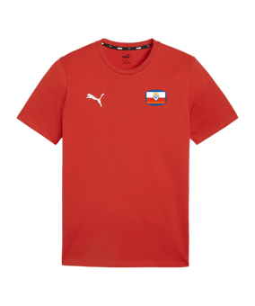 PUMA teamGOAL Casuals T-Shirt Rot F01