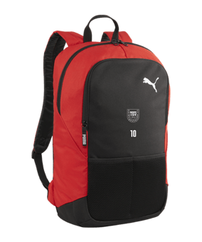 PUMA teamGoal Rucksack Rot F03