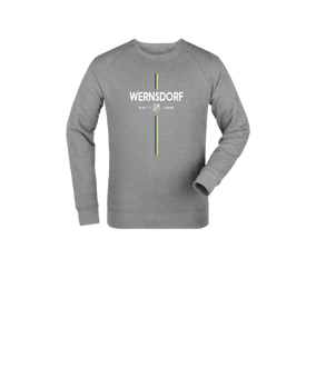 Merch Mini Changer 2.0 Sweatshirt Kids Heather Grey FC250