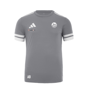adidas Squadra 25 Trikot Grau