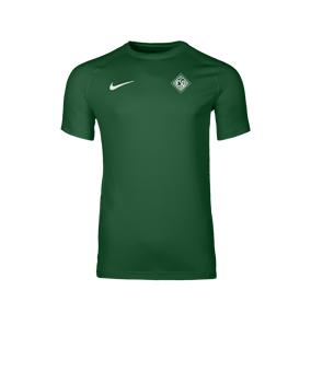 Nike Park VIII Trikot Grün F302