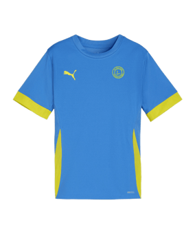 PUMA teamGOAL Matchday Trikot Kids Blau Gelb F16
