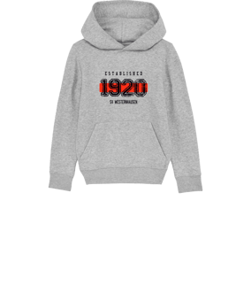 Merch Mini Cruiser 2.0 Hoody Kids H. Grey | #established
