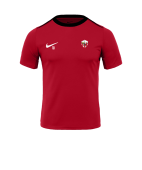 Nike Academy Pro 24 Formation Rouge C657 