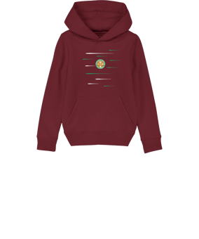 Merch Mini Cruiser 2.0 Hoody Kids Burgundy FC244