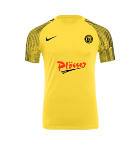 Nike Academy Trikot Gelb Schwarz F719