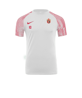 Nike Academy Trikot Weiss Rot F100