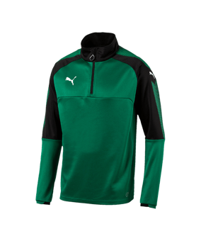 PUMA Ascension 1/4 Zip Top Training Grün F05 - gruen