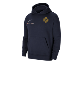 Nike Park 20 Fleece Hoody Kids Blau Weiss F451