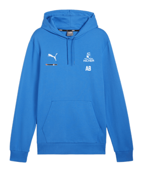 PUMA teamGOAL Casuals Hoody Blau F02