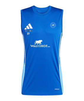 adidas Tiro 25 Competition Tanktop Blau