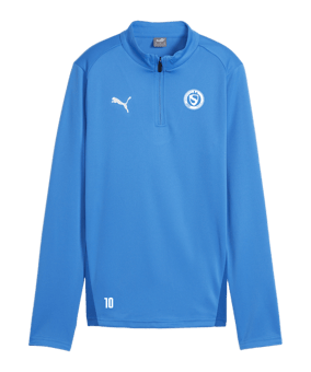PUMA teamGOAL Training 1/4 Zip Sweatshirt D F02