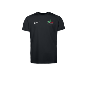 Nike Park VIII Maillot Enfants Noir C010