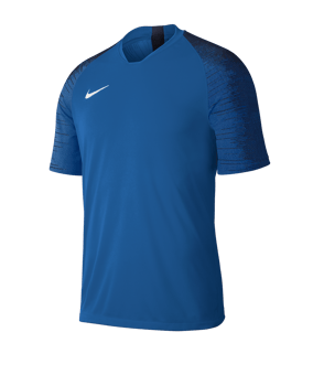 Nike Strike Trikot Blau F463 - blau