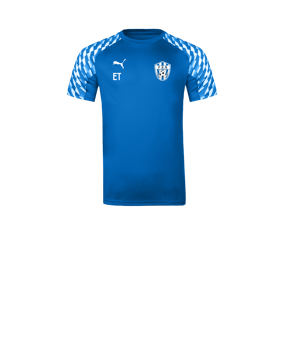 PUMA teamLIGA26 Trikot Kids Blau F02