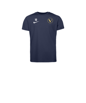 Nike Park VIII Trikot Kids Blau F410