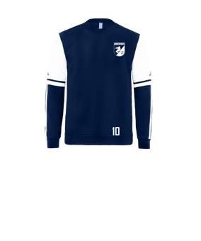 adidas Squadra 25 Sweatshirt Kids Blau