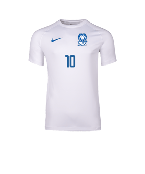 Nike Park VIII Trikot Weiß F104