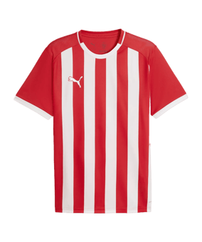 PUMA teamLIGA26 Striped Trikot Rot F01 - rot