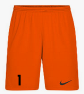 Nike Park III Short Orange F819