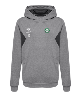Hummel Authentic Pl Hoody Kids Grau F2006