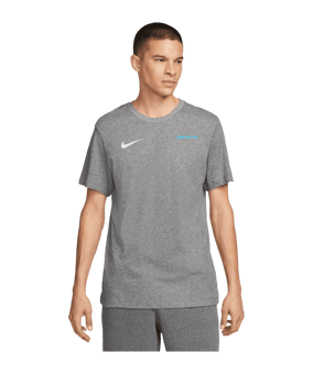 Nike Park 20 Dry T-Shirt Grau Weiss F071