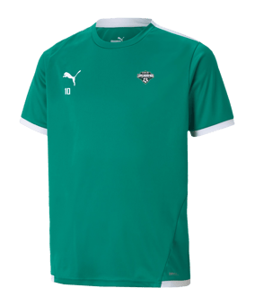 PUMA teamLIGA Trikot Kids Grün F05
