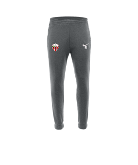 Pantalon de survêtement en polaire Nike Park 20 Gris blanc F071
