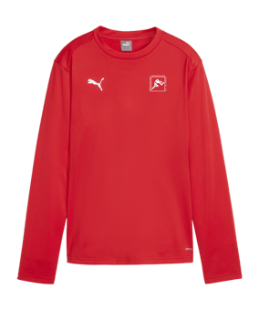 PUMA teamGOAL Training Sweatshirt Damen Rot F01