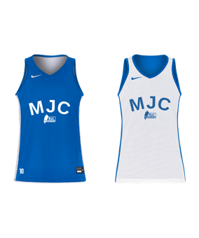 Nike Team25 Reversible Trikot Damen Blau F463