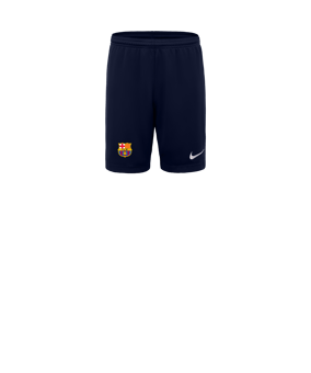 Nike Park III Short Kids Blau F410 - Kinder