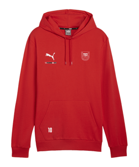 PUMA teamGOAL Casuals Hoody Rot F01