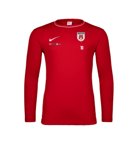 Nike Park 26 Longsleeve Rot F657