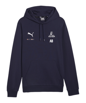 PUMA teamGOAL Casuals Hoody Blau F06