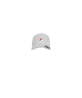 Merch 5 Panel Curved Cap Blau