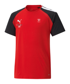 PUMA teamPACER Trikot Kids Rot Schwarz F01